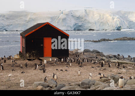 Britischen Stützpunkt, Port Lockroy, antarktische Halbinsel, Antarktis Stockfoto