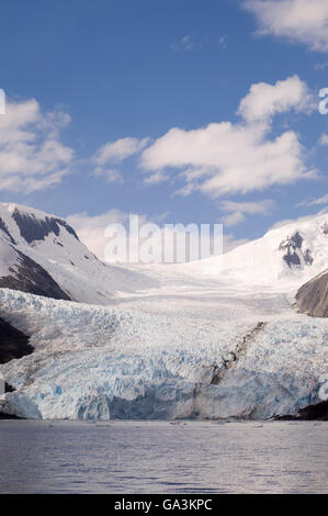 Garibaldi Gletscher, Darwin-Nationalpark Tierra del Fuego, Patagonien, Chile, Südamerika Stockfoto