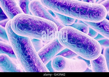 Illustration von stäbchenförmigen Bakterien. Stäbchenförmige Bakterien zählen Escherichia coli, Salmonellen, Shigella, Klebsiella, Citrobacter, Enterobacter, Yersinia Pestis, Pseudomonas Aeruginosa, Legionella Pneumophila und Mycobacterium-Tuberkulose-Arten. Stockfoto