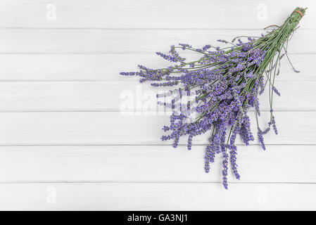 Bouquet von schönen frischen Lavendel, Whiteboards Stockfoto