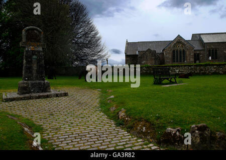 Dartmoor Ponys grasen auf dem Grün in Widecombe-in-the-Moor mit der Kirche im Hintergrund Stockfoto