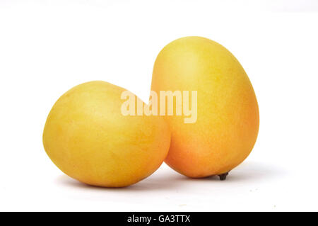 Gelbe Mango Früchte, Isolated on White Background Stockfoto