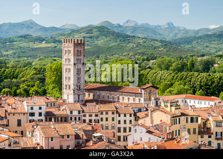 Luftaufnahme von Lucca in der Toskana, an einem sonnigen Nachmittag; der Glockenturm der Kirche San Frediano gehört Stockfoto