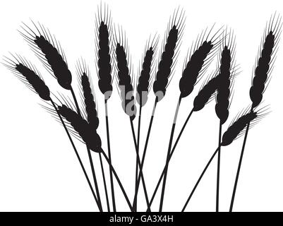 Reihe von Vektor-Ähren Stock Vektor