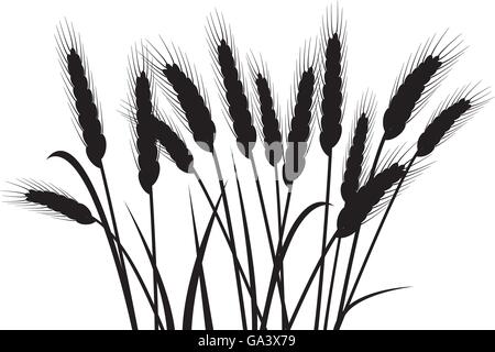 Reihe von Vektor-Ähren Stock Vektor