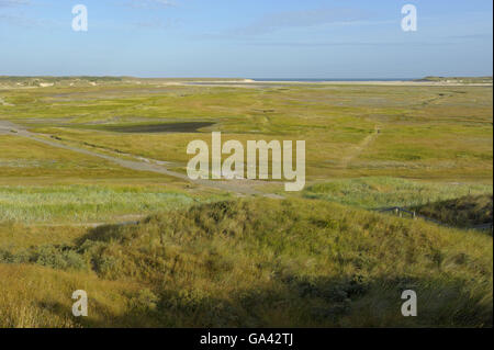 Naturschutzgebiet De Slufter, Nationalpark Duinen van Texel, Texel, Niederlande / salt Marsh Stockfoto