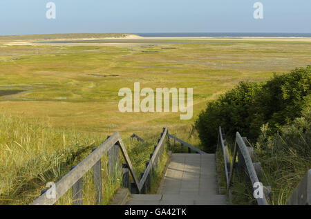 Naturschutzgebiet De Slufter, Nationalpark Duinen van Texel, Texel, Niederlande / salt Marsh Stockfoto