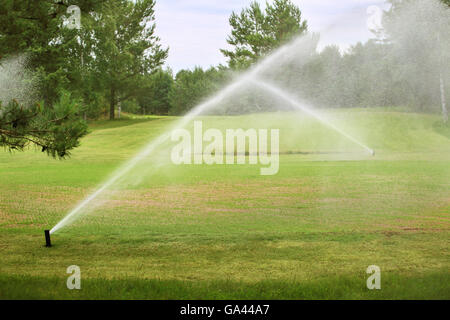 Sprinkler der automatischen Bewässerung auf Golfplatz hautnah Stockfoto