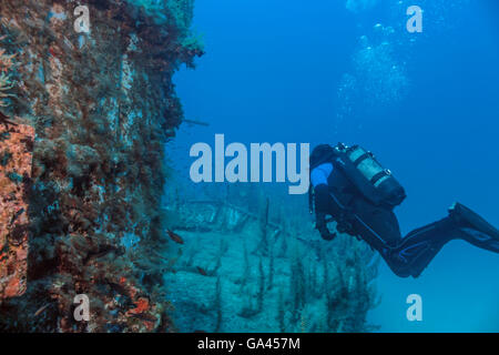 Taucher schwimmt über dem Vordeck von einem versunkenen Patrouillenboot. Stockfoto