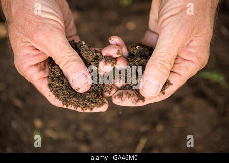 Bild der Gärtner hält Schmutz im Garten beschnitten Stockfoto