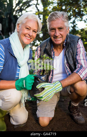 Porträt von glücklich Gärtner halten Topfpflanze im Garten Stockfoto