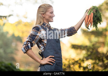 Lächelnde Gärtner betrachten geernteten Karotten Stockfoto