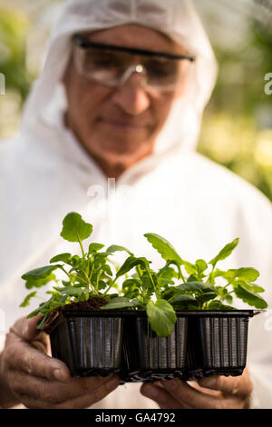 Männliche Wissenschaftler in sauberen Anzug untersuchen Pflanzen Stockfoto