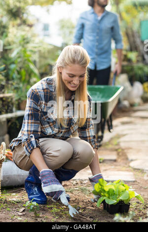 Gärtner Pflanzen während Mann arbeitet im Hintergrund Stockfoto