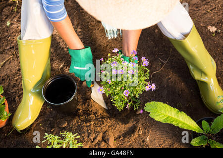 Erhöhte Ansicht der Gärtner mit Kelle für Pflanzen im Garten Stockfoto