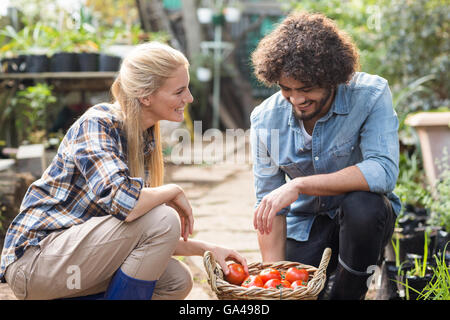 Mitarbeiter von Weidenkorb kniend Stockfoto