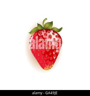 Erdbeer-Abbildung. Reifen Sommer Obst. Roten realistische Erdbeere isoliert. Vektor. Stock Vektor