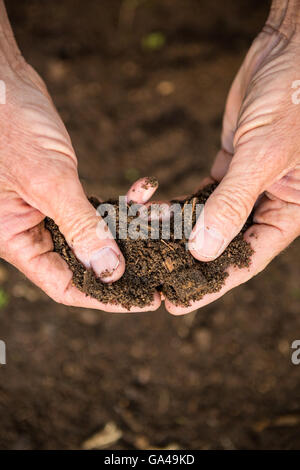 Bild der Reifen Gärtner hält Schmutz im Garten beschnitten Stockfoto