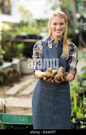 Weibliche Gärtner Holding geernteten Kartoffeln Stockfoto