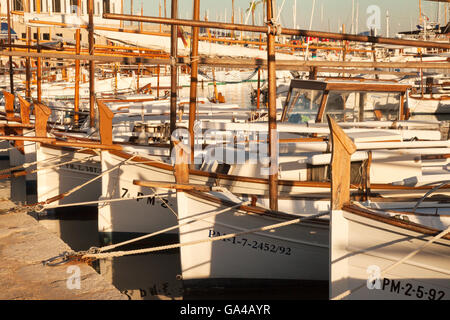 Traditionelle mallorquinische Fischerboote, Hafen von Puerto Pollensa, Puerto Pollensa, Norden Mallorca (Mallorca), Spanien, Europa Stockfoto