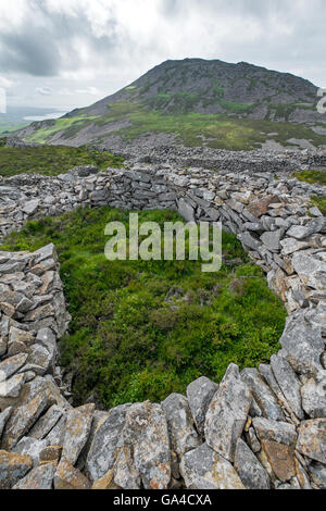 Tre'r Ceiri, einem der Yr Eifyl Hügel auf der Halbinsel Lleyn befindet sich eine Eisenzeit Burgberg Stockfoto