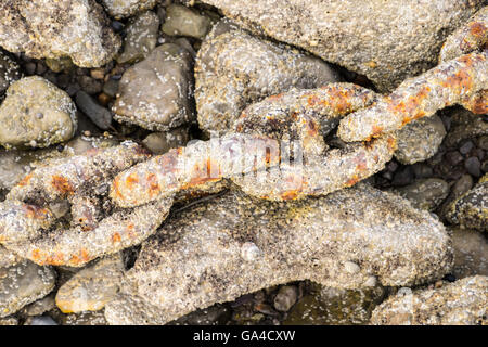 Rostigen Ankerkette an einem Strand von Anglesey Stockfoto