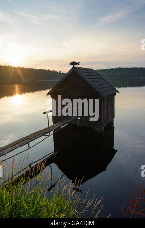 Heidenreichstein Anglerhütte, Karpfenteich Winkelauerteich in der Natur park Heidenreichsteiner Moor bei Sonnenuntergang Österreich Niederöst Stockfoto