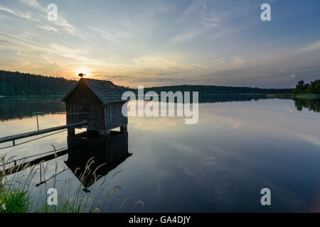 Heidenreichstein Anglerhütte, Karpfenteich Winkelauerteich in der Natur park Heidenreichsteiner Moor bei Sonnenuntergang Österreich Niederöst Stockfoto