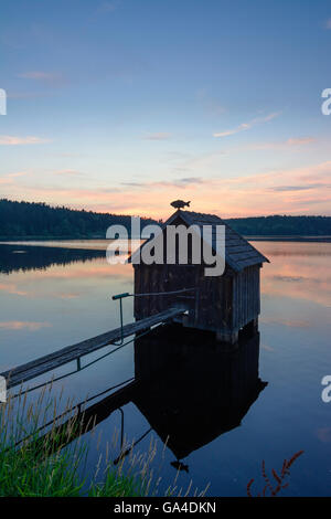 Heidenreichstein Anglerhütte, Karpfenteich Winkelauerteich in der Natur park Heidenreichsteiner Moor bei Sonnenuntergang Österreich Niederöst Stockfoto