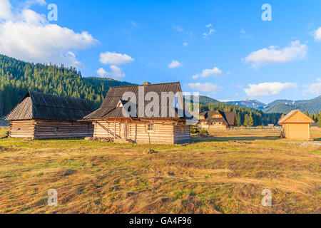 Holzhütten auf Feld in Chocholowska Tal, Tatra-Gebirge, Polen Stockfoto