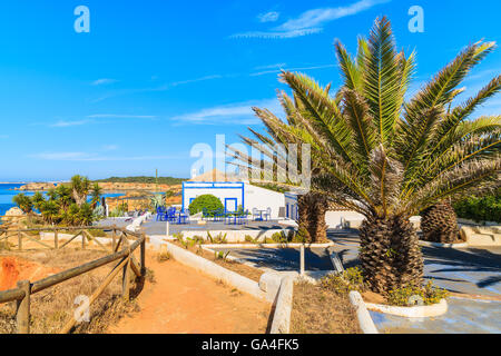 Palmen und Häuser am Küstenweg entlang Strand Praia da Rocha, Region Algarve, Portugal Stockfoto