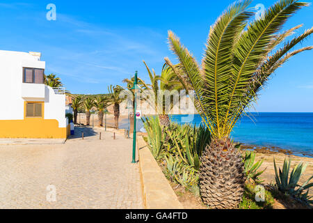 Strandpromenade mit Palmen in Luz Stadt, Region Algarve, Portugal Stockfoto