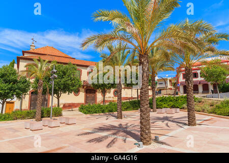 Palmen auf dem Platz der historischen alten Stadt Silves, die Region Algarve, Portugal Stockfoto