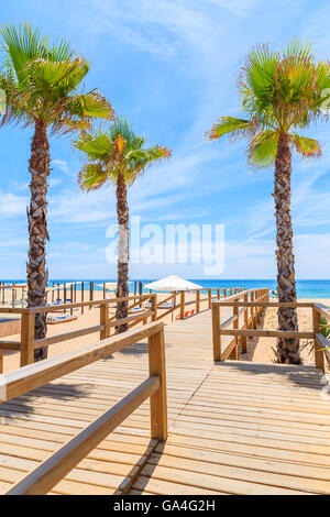 Palmen und Holzsteg zum Strand in Armacao de Pera Küstenstadt, Portugal Stockfoto