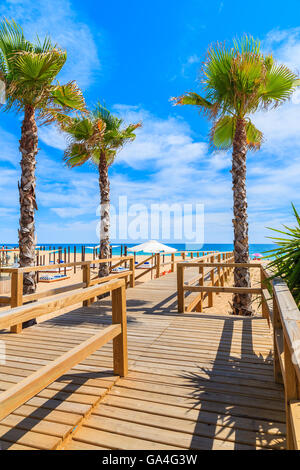 Palmen und Holzsteg zum Strand in Armacao de Pera Küstenstadt, Portugal Stockfoto