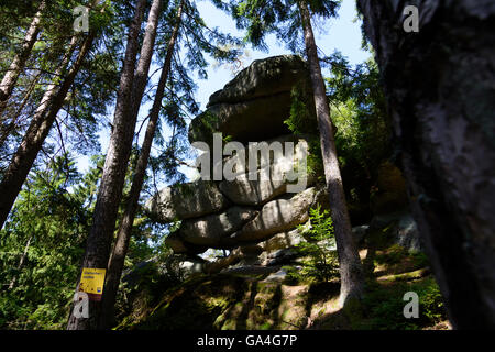 Rappottenstein Granit rock Formation "Gletscher Mühle" und Fichte Österreich Niederösterreich, untere Österreich Waldviertel Stockfoto