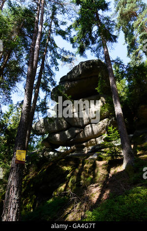 Rappottenstein Granit rock Formation "Gletscher Mühle" und Fichte Österreich Niederösterreich, untere Österreich Waldviertel Stockfoto