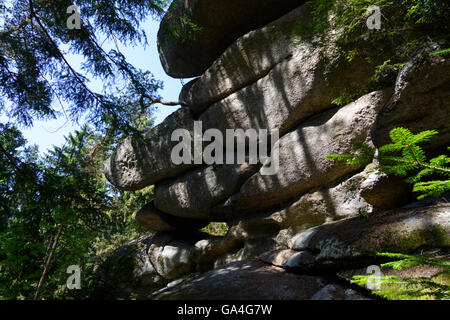 Rappottenstein Granit rock Formation "Gletscher Mühle" und Fichte Österreich Niederösterreich, untere Österreich Waldviertel Stockfoto