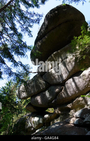 Rappottenstein Granit rock Formation "Gletscher Mühle" und Fichte Österreich Niederösterreich, untere Österreich Waldviertel Stockfoto