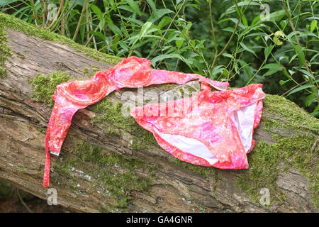 Einem nassen rosa und orange Bikini aus den 1960er Jahren an einem Baum nach dem Baden in einem Fluss zu trocknen. Stockfoto
