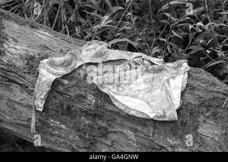 Einem nassen rosa und orange Bikini aus den 1960er Jahren an einem Baum nach dem Baden in einem Fluss zu trocknen. Stockfoto