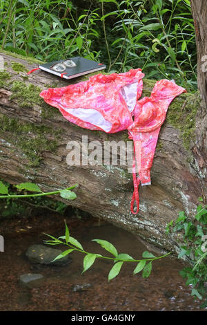 Einem nassen rosa und orange Bikini aus den 1960er Jahren an einem Baum nach dem Baden in einem Fluss zu trocknen. Stockfoto