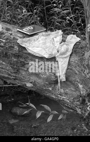 Einem nassen rosa und orange Bikini aus den 1960er Jahren an einem Baum nach dem Baden in einem Fluss zu trocknen. Stockfoto
