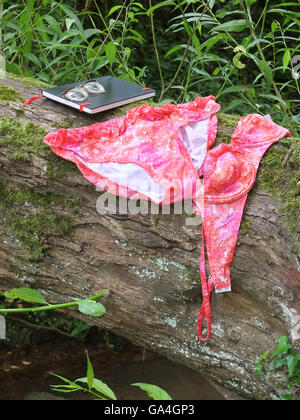 Einem nassen rosa und orange Bikini aus den 1960er Jahren an einem Baum nach dem Baden in einem Fluss zu trocknen. Stockfoto