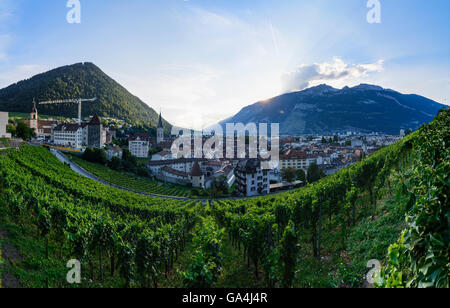 Chur mit Blick auf die Altstadt am Sonnenuntergang, Weinberge im Vordergrund der Schweiz Graubünden, Graubünden Stockfoto