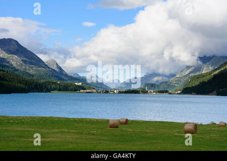 Sils Im Engadin/Segl Silvaplana See (Lej da Silvaplauna) mit Blick auf Sils Im Engadin / Segl-Schweiz-Graubünden, Graubünden Oberen Stockfoto