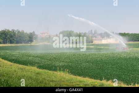 Bewässerungssystem, das Pumpen von Wasser auf einem Weizenfeld, Italien Stockfoto