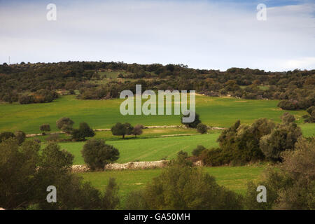 Sizilianische Landschaft. Monte Climiti Hochland. Syrakus, Sizilien Stockfoto