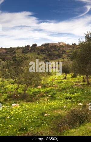 Sizilianische Landschaft. Monte Climiti Hochland. Syrakus, Sizilien Stockfoto