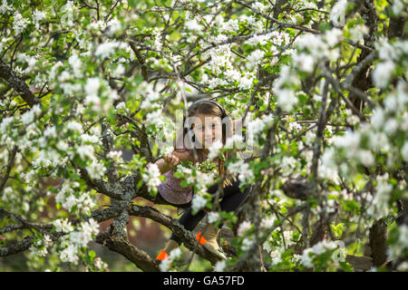 Kleines Mädchen versteckte sich in den Ästen ein blühender Apfelbaum. Stockfoto